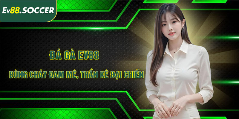 Đá Gà EV88